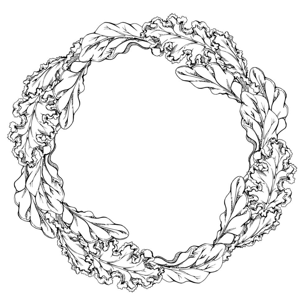 Green salad spinach kale leaf diet and healthy lifestyle, vegan cooking. Hand drawn ink. Illustration circle wreath frame isolated on white background. Design recipe book, website, card, menu vector