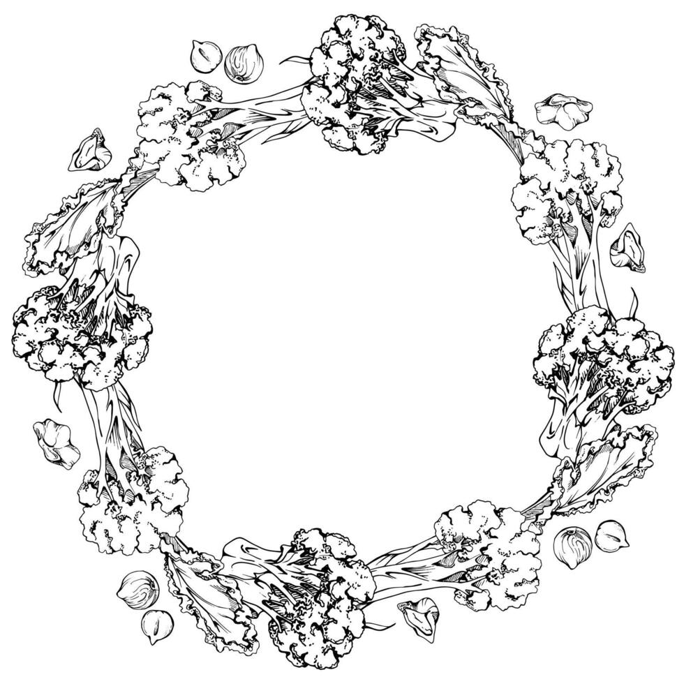 Hand drawn ink green salad spinach kale leaf diet and healthy lifestyle, vegan cooking. Illustration circle wreath frame isolated on white background. Design recipe book, website, card, menu vector