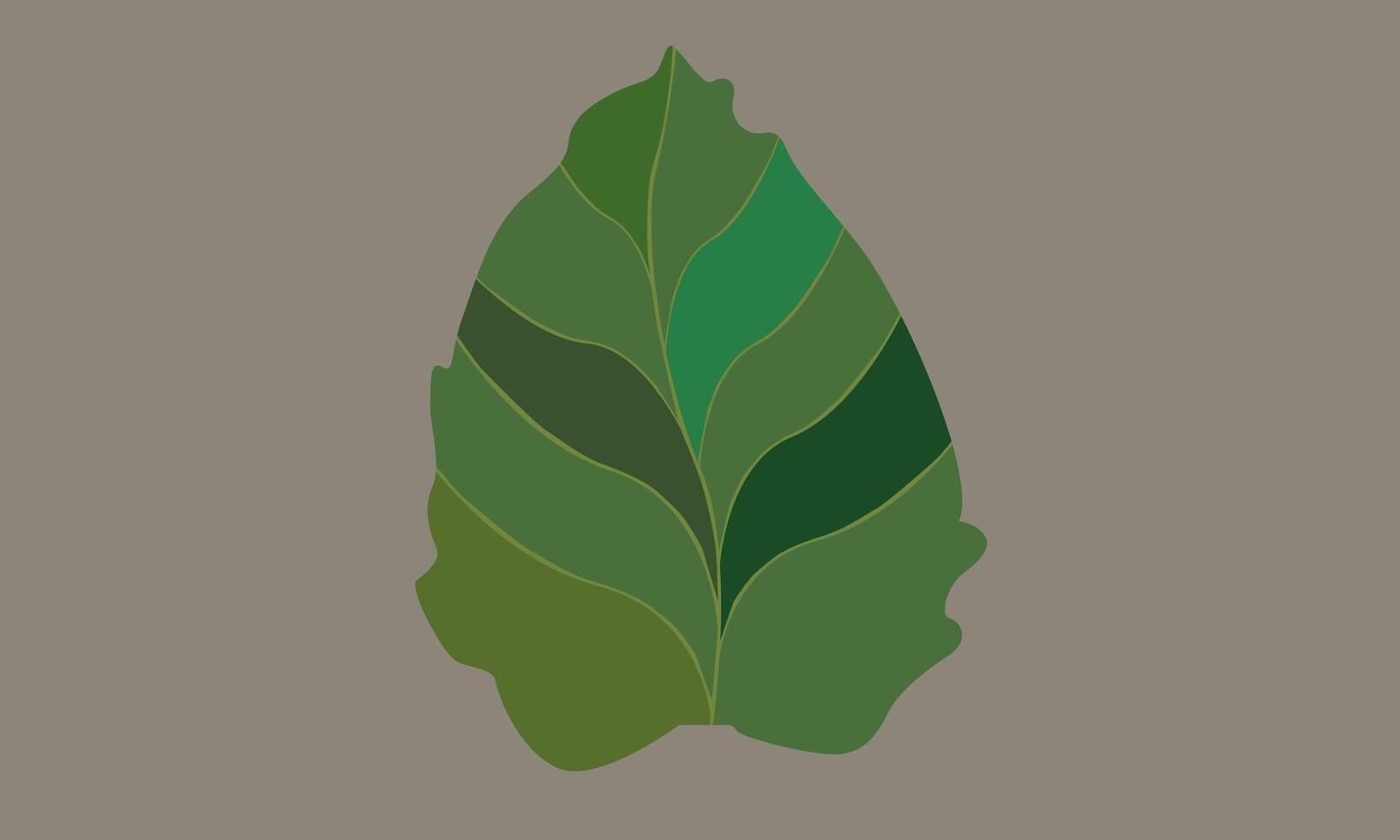 illustration set scalloped leaves vector