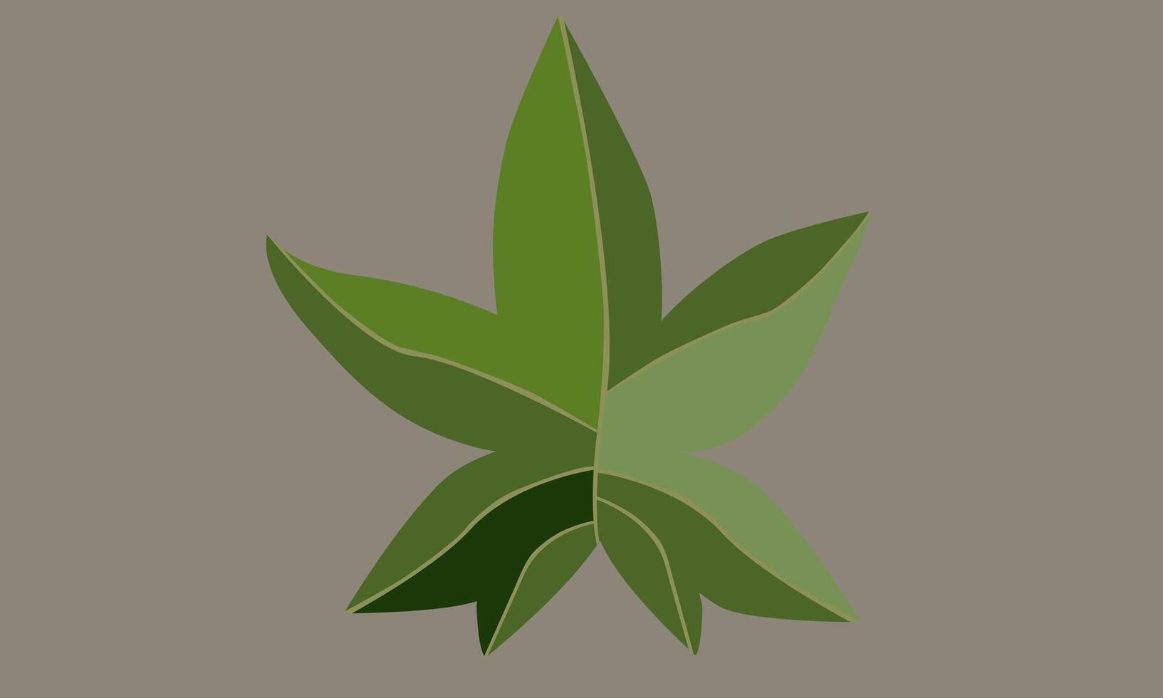 Biomorphism simple set palmate leaves vector