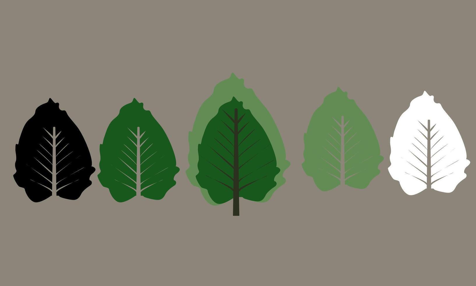 illustration set scalloped leaves vector