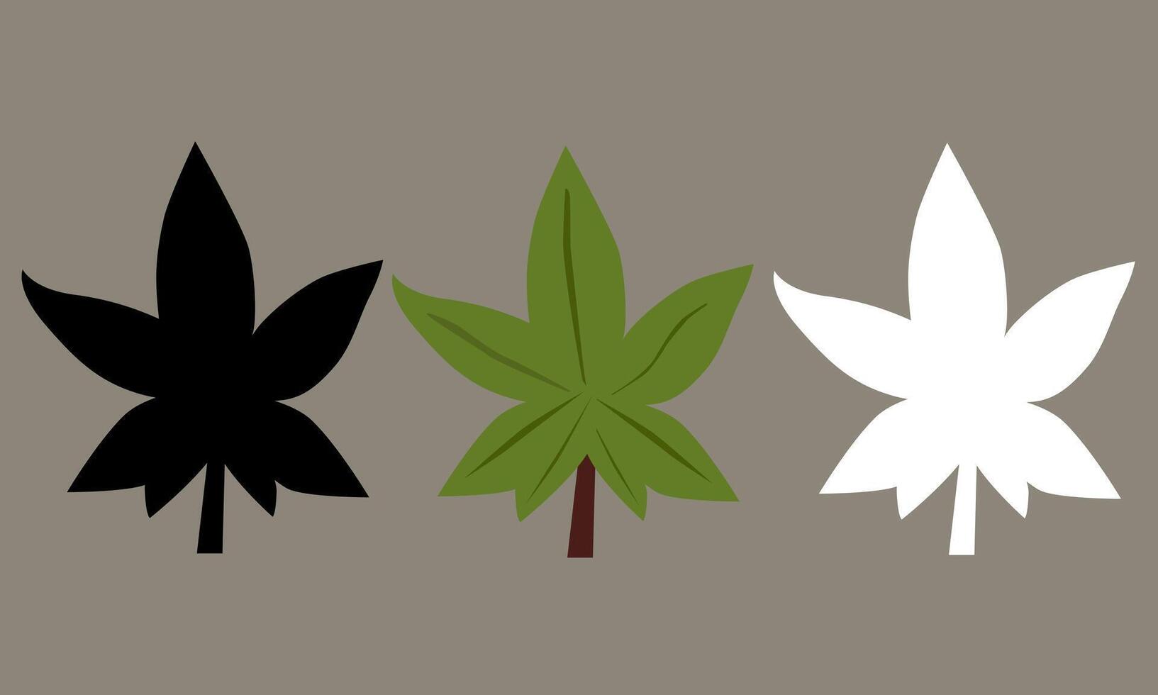 illustration set palmate leaves vector