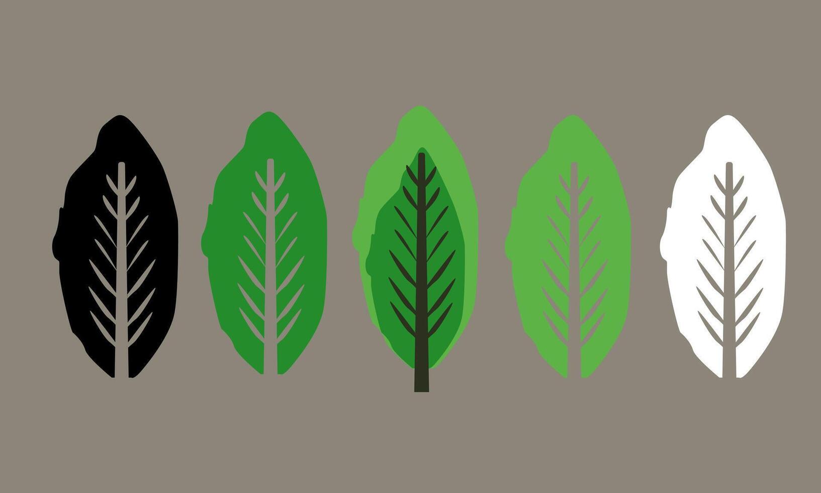 illustration set undulate leaves vector