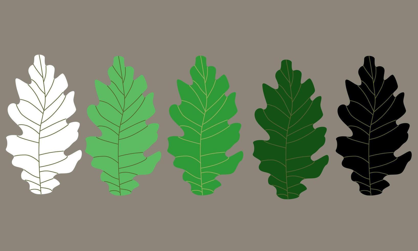 Biomorphism set lobate leaves vector