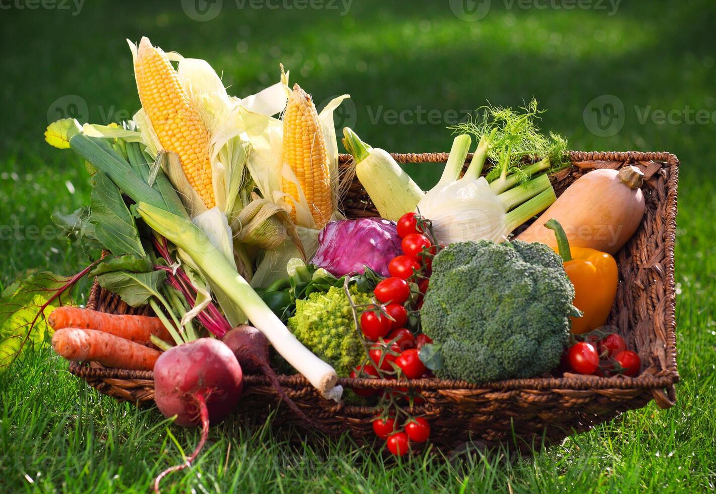 Fresh vegetables in the basket photo