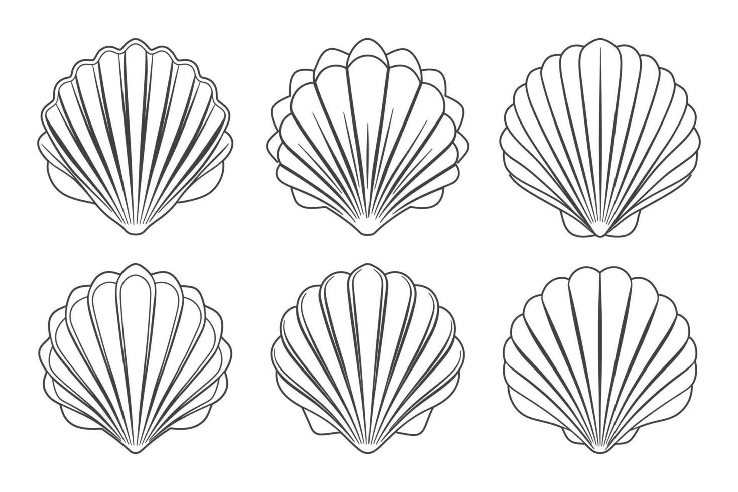 Set of scallop shell logos. Collection of isolated scallop outlines on white background. Illustration vector