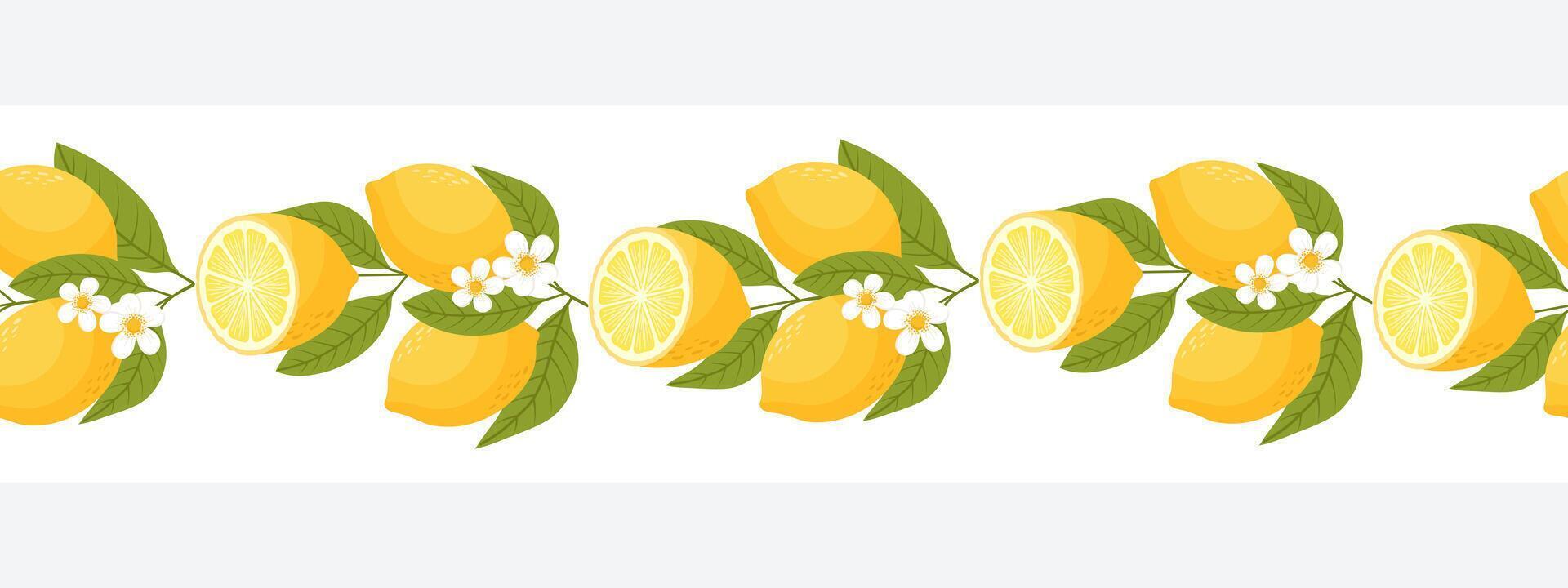 Seamless border with lemons. Horizontal ornament with lemon fruits on a branch. Illustration vector