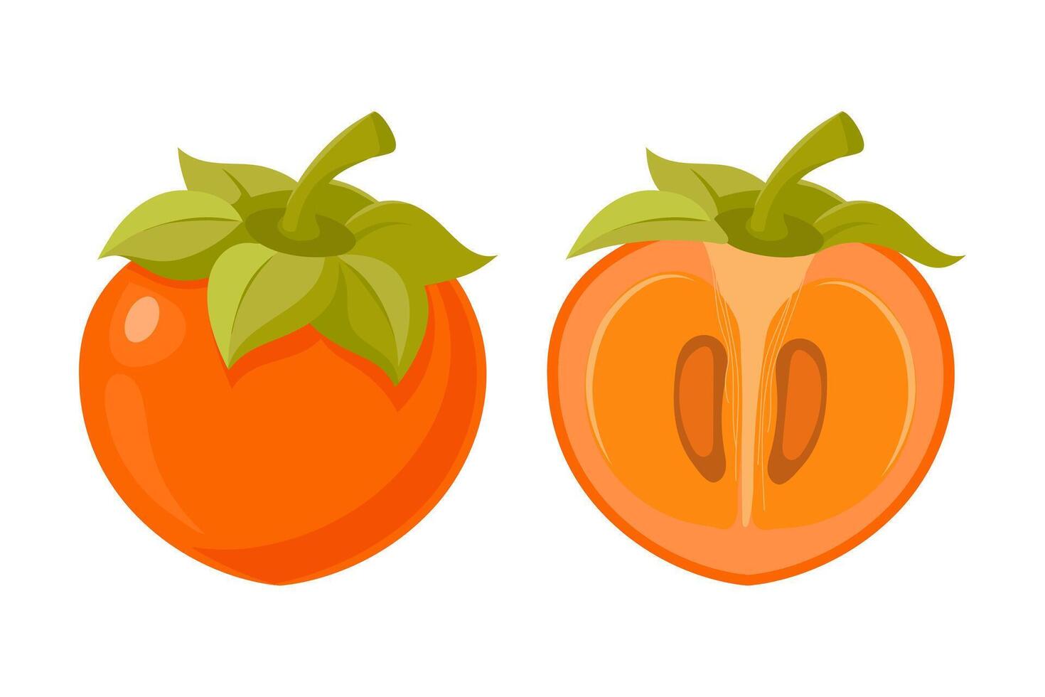 Ripe persimmon fruit on white background. Persimmon whole and cut. Illustration vector