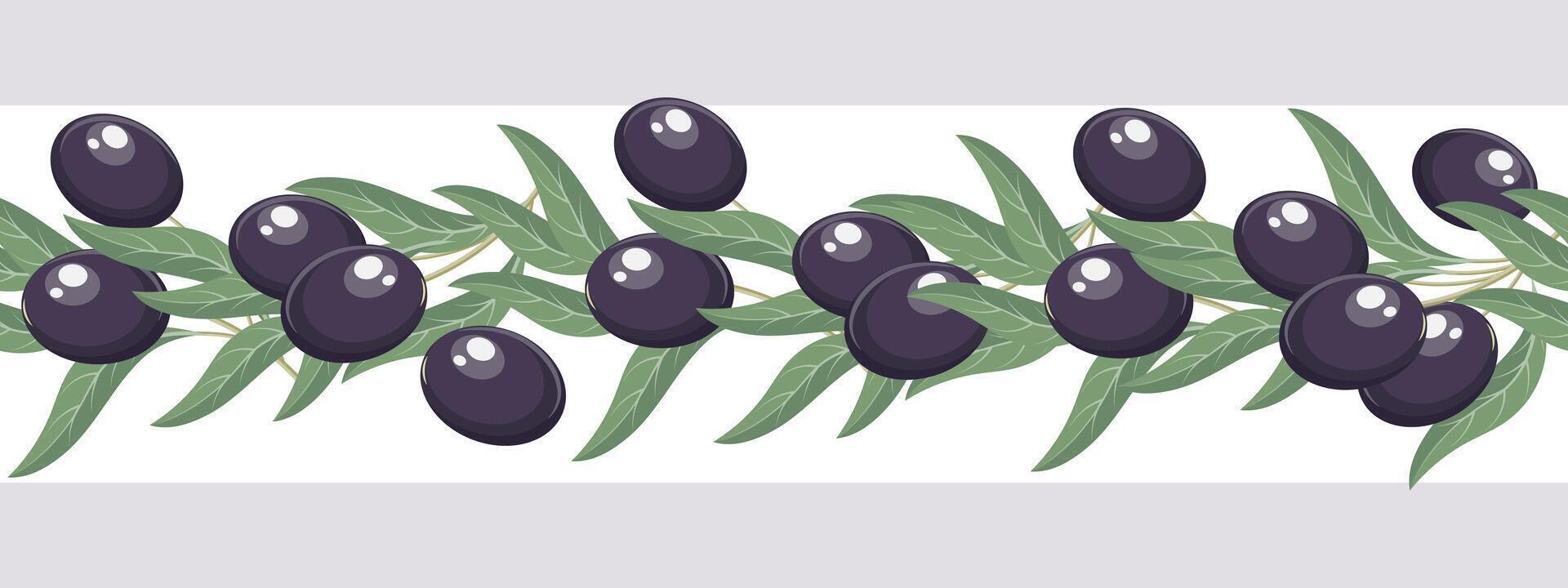 Seamless border with black olives. Horizontal ornament with olive fruits on a branch. Illustration vector