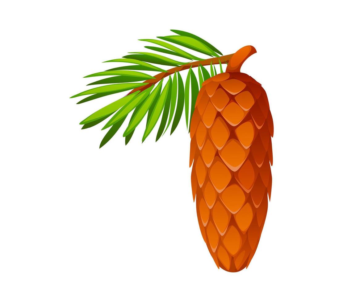 Cartoon spruce cone with lush evergreen leaves vector