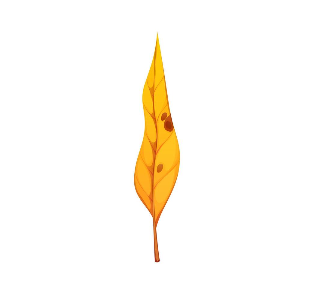 Cartoon yellow autumn leaf with brown spots vector