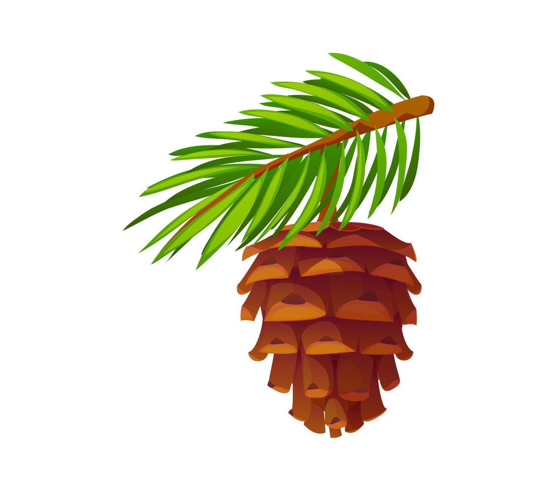 Cartoon pine cone with lush evergreen needles vector