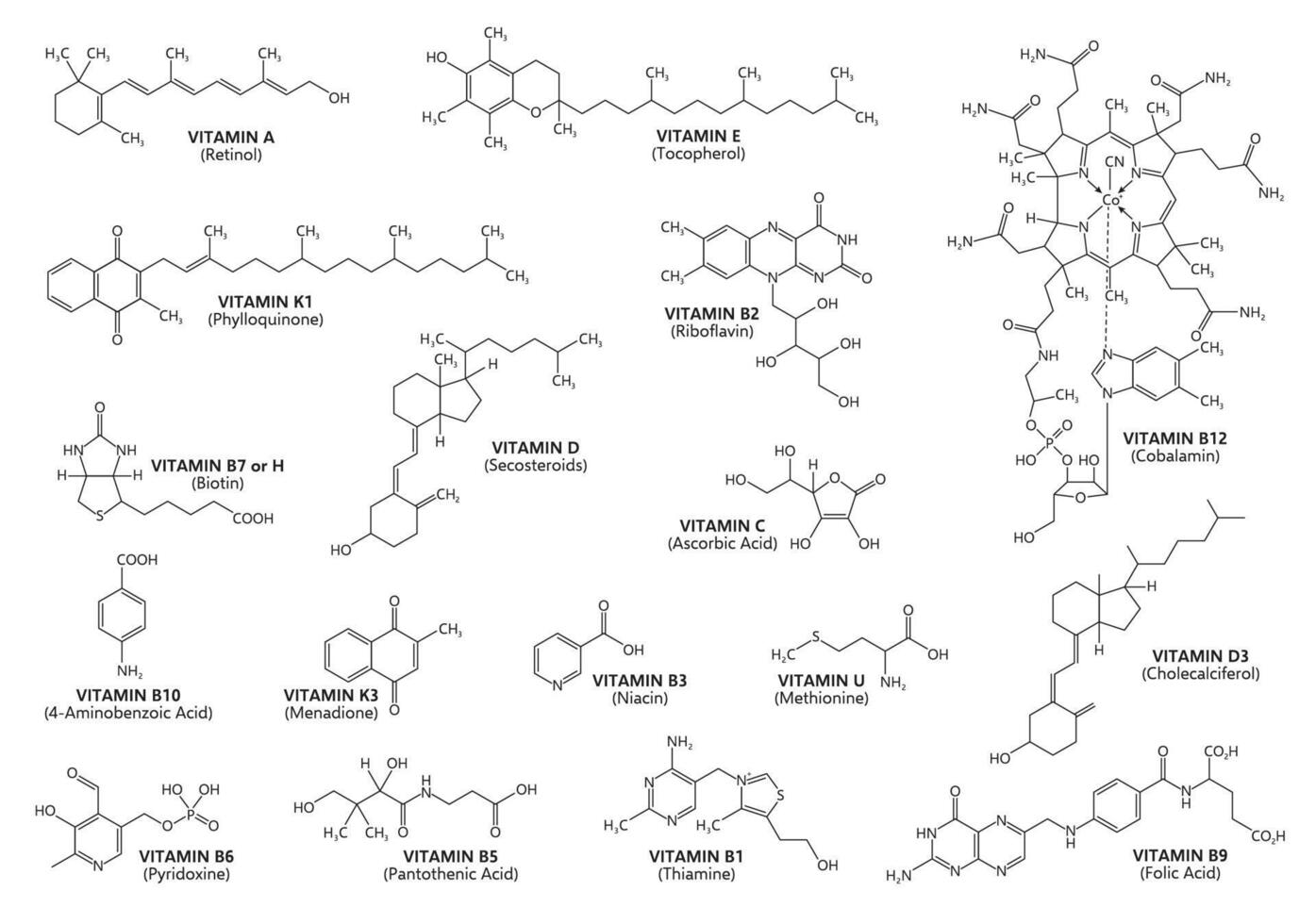 Vitamin acid formulas chemical molecular structure vector