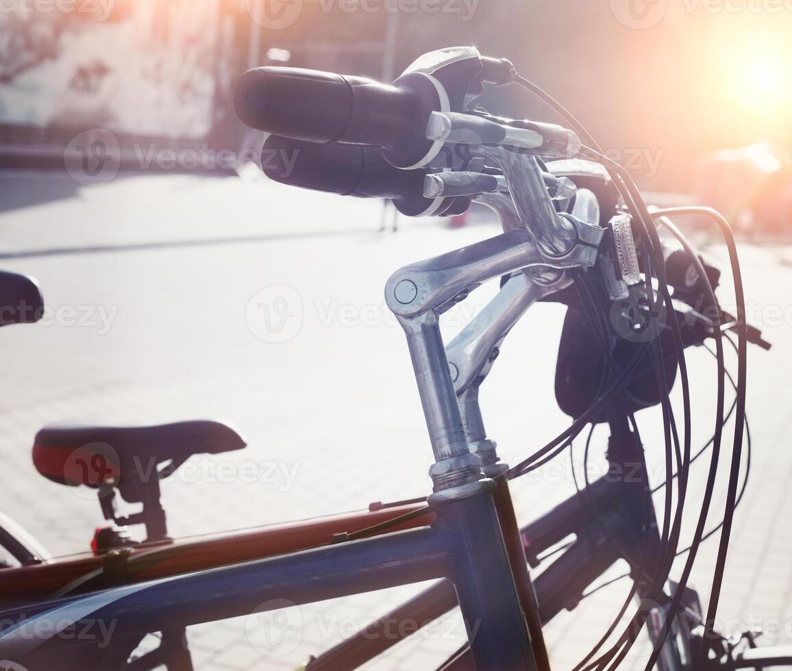 Station of urban bicycles for rent downtown photo