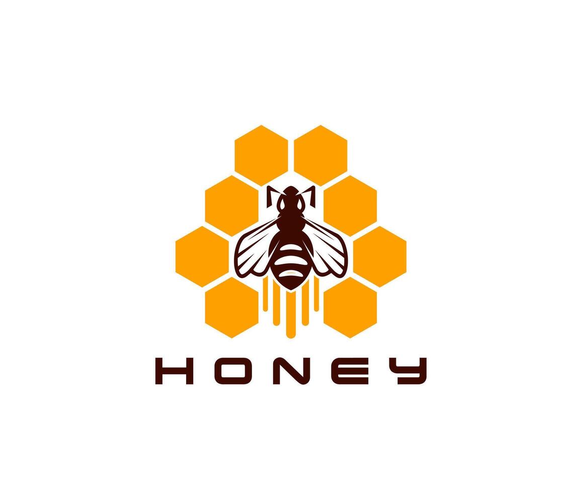 Honey bee icon, beekeeping and apiary products vector