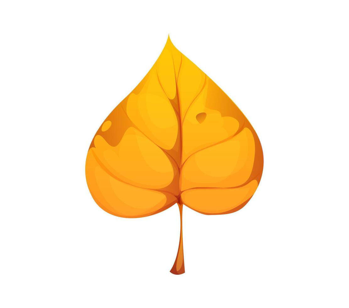Autumn birch leaf cartoon tree foliage vector