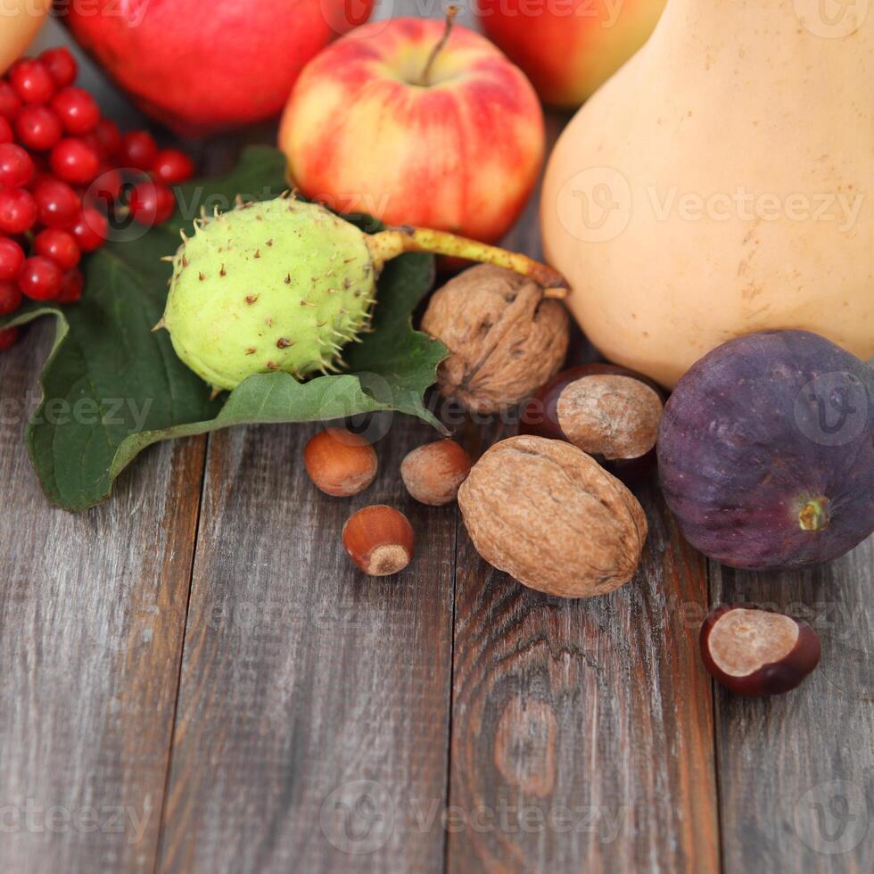 Autumn still life photo