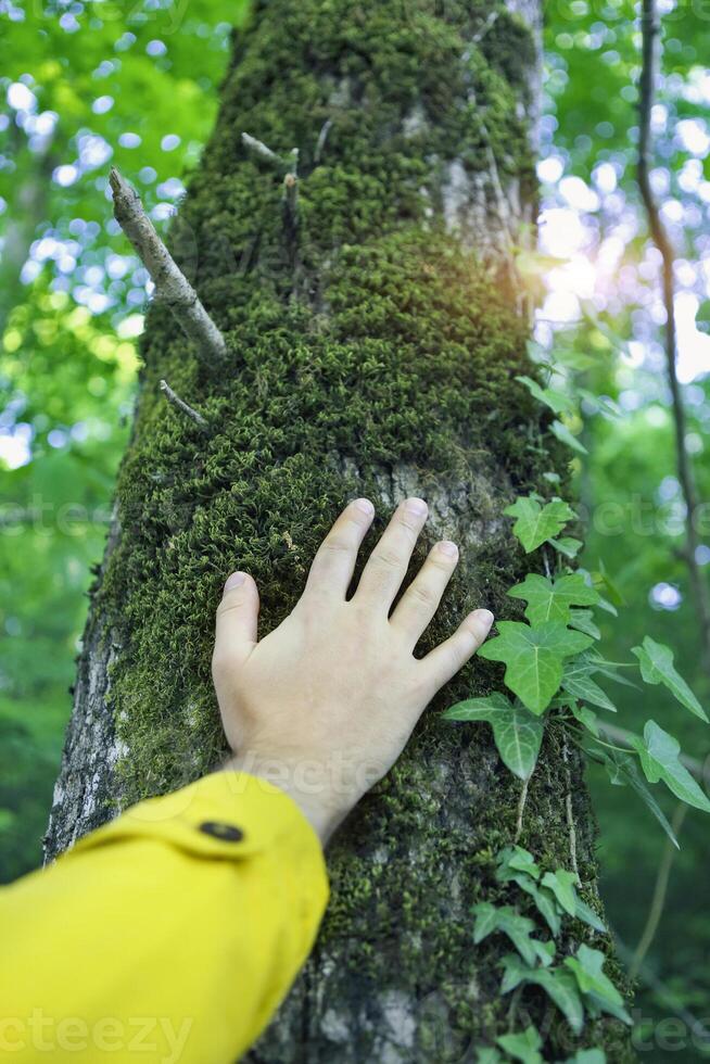 Man touching a tree in a forest photo