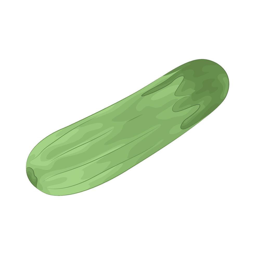 Illustration of cucumber vector