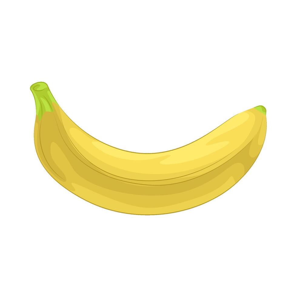 Illustration of banana vector