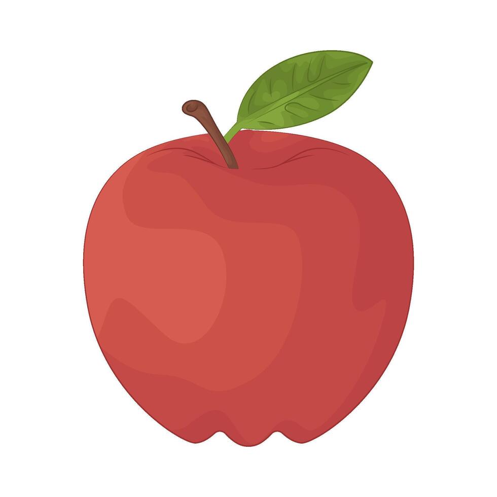 Illustration of apple vector