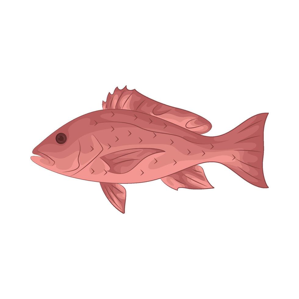 Illustration of grouper vector