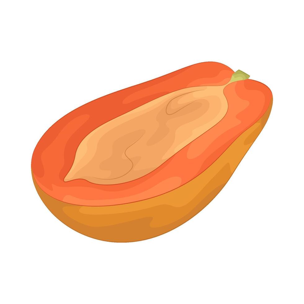 Illustration of half papaya vector