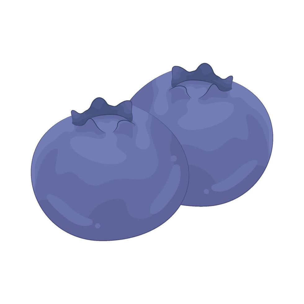 Illustration of blueberry vector