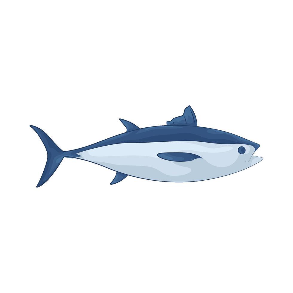 Illustration of tuna vector