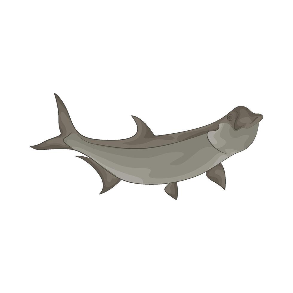 Illustration of fish vector