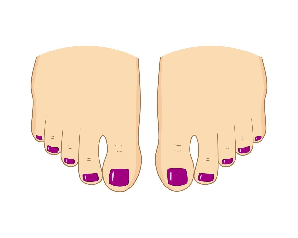 Elegant Pedicure with pink Nail Polish. vector