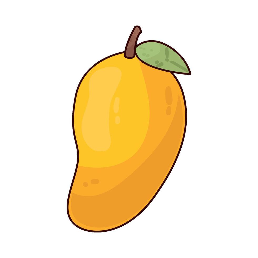 Illustration of mango vector