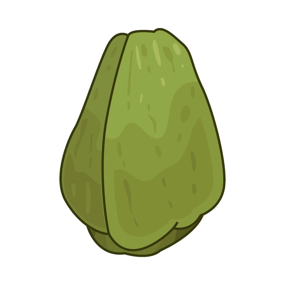 Illustration of chayote vector
