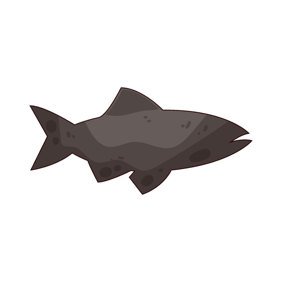 Illustration of salmon vector