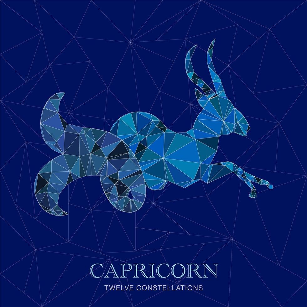 TWELVE CONSTELLATIONS CAPRICORN vector