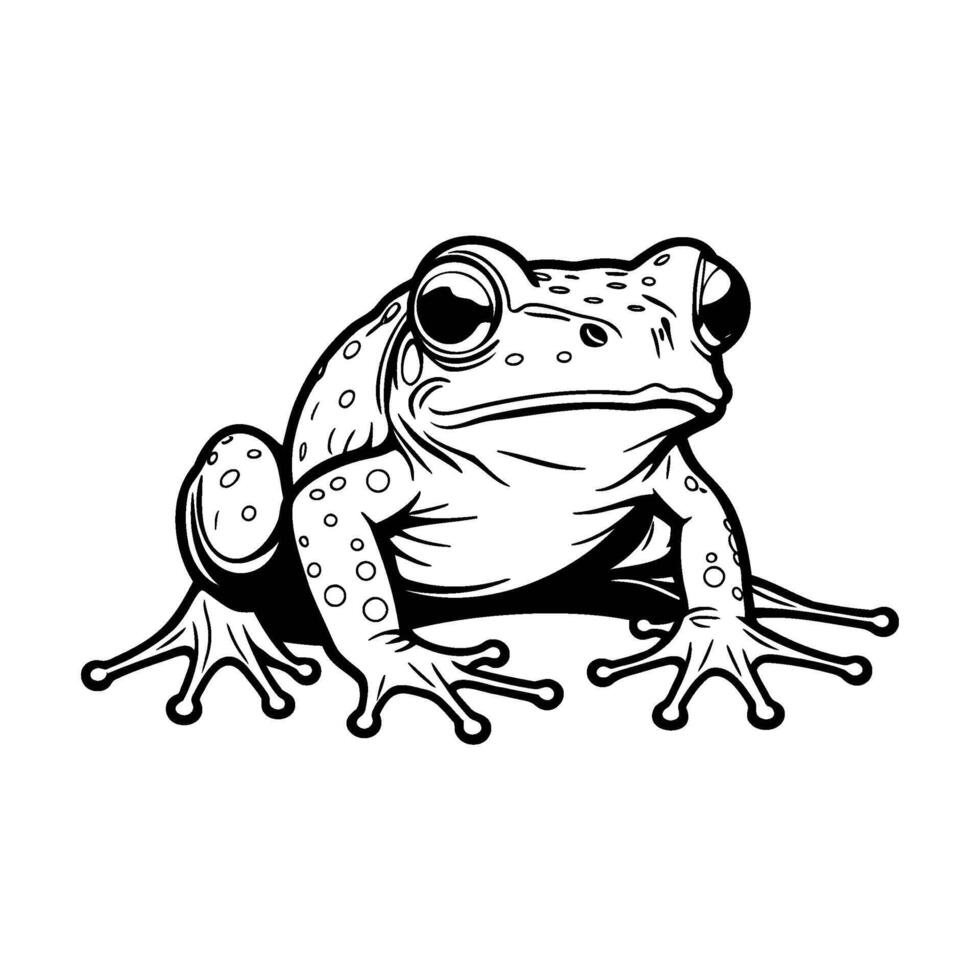 Black and white line drawing of a frog sitting upright vector