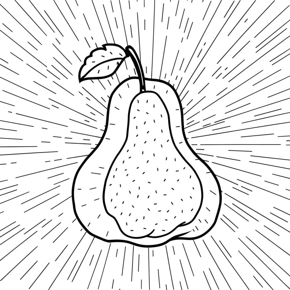 A pear is shown in a drawing style vector