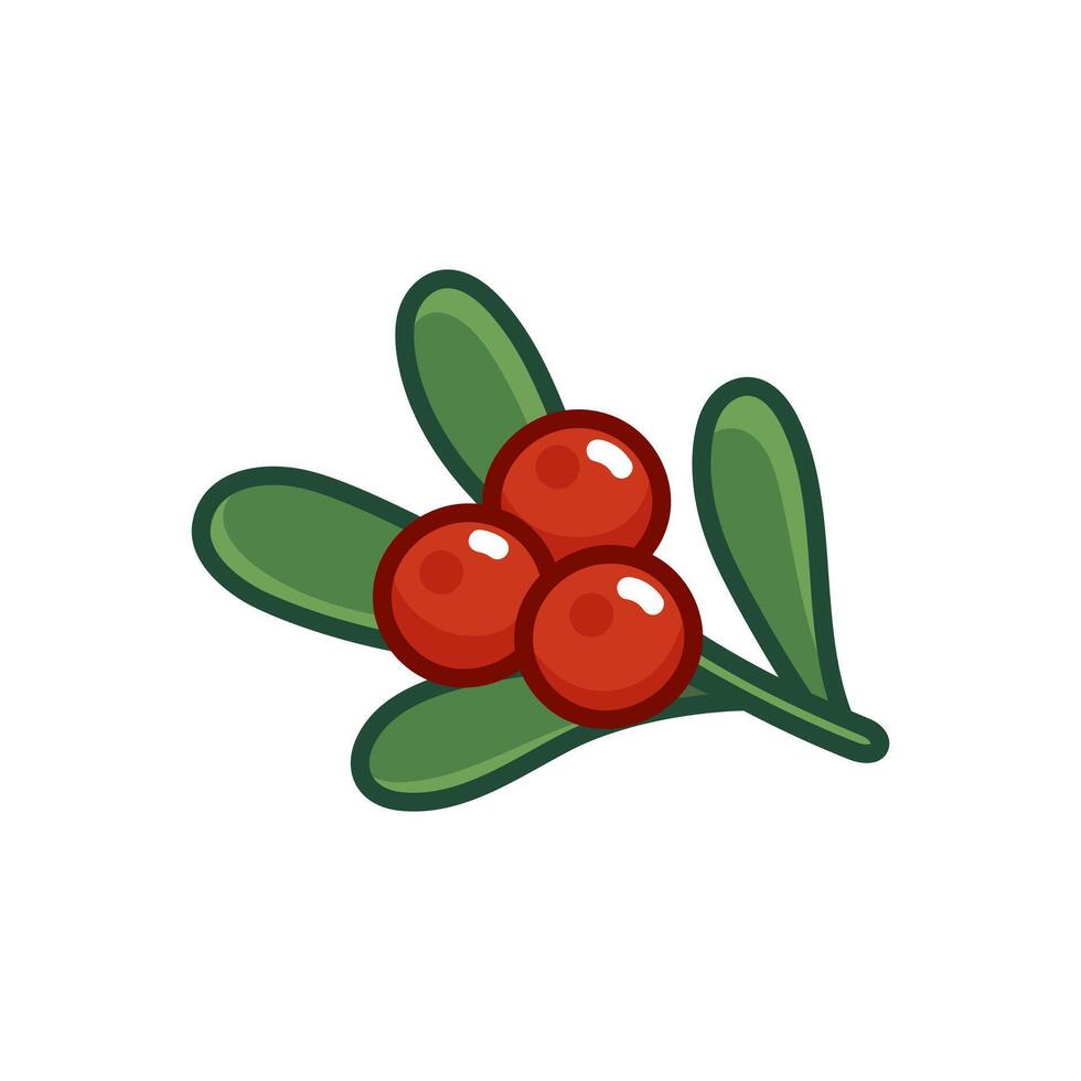 Merry Christmas holly berries on ilex branch. Mistletoe clip art isolated on white background. Symbol of Happy New Year holiday vector
