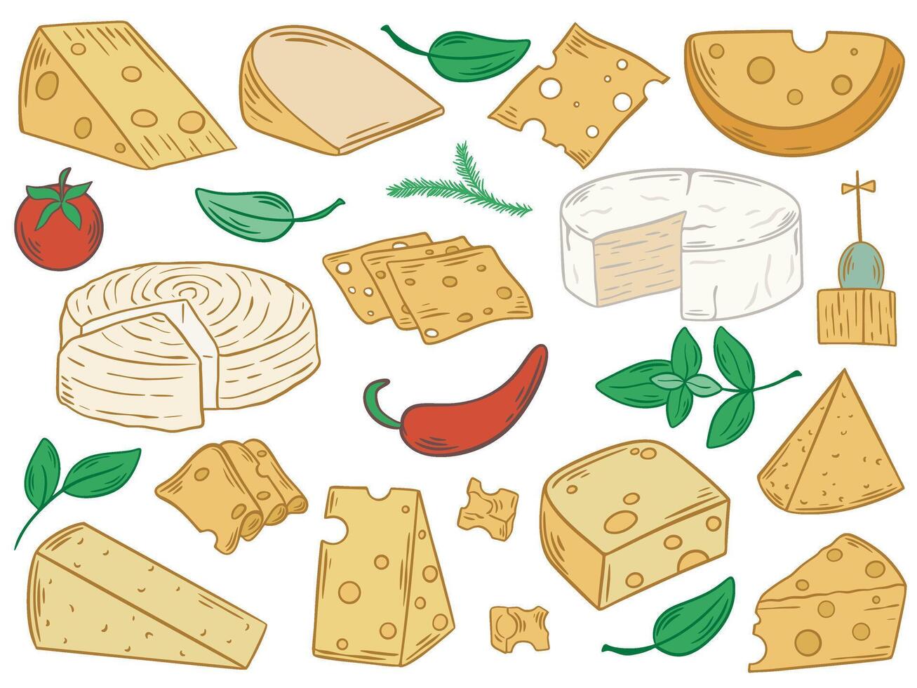 Cheese of different shapes and varieties hand drawn color set vector