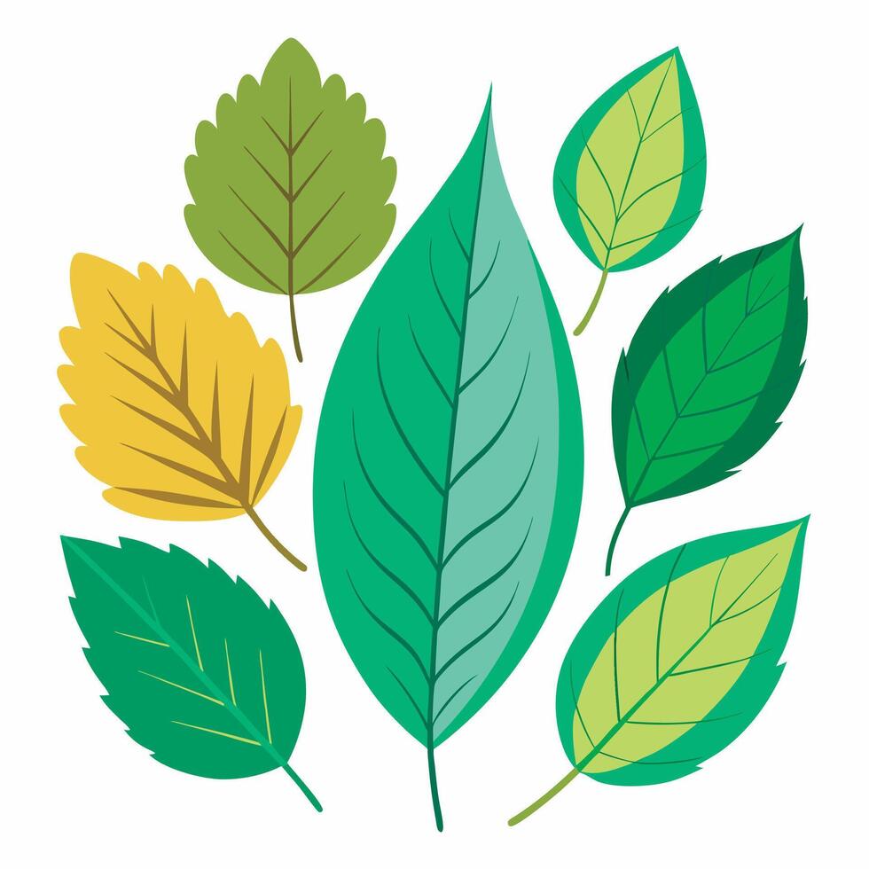 A group of green leaves on a white background vector