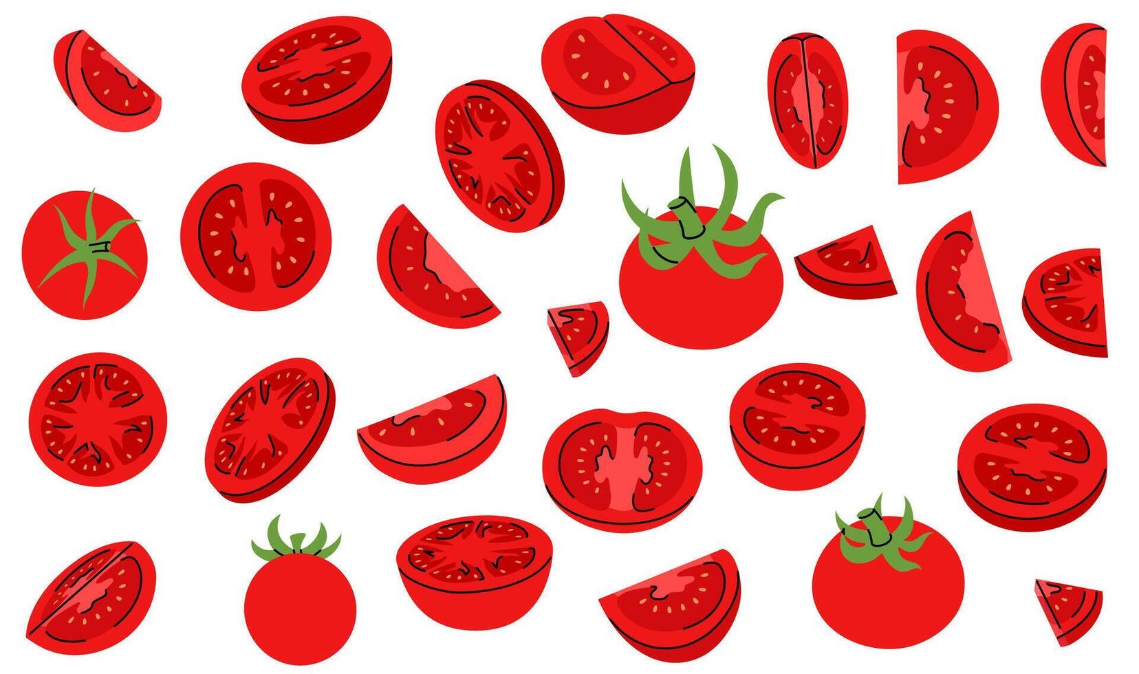 Hand drawn representation of red tomato, whole, halved, cut, and thin slices different angles vector
