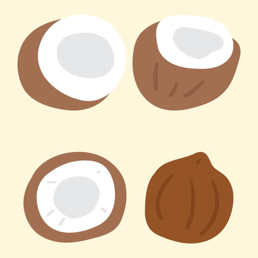 coconut. Hand drawn illustration. Flat design. vector