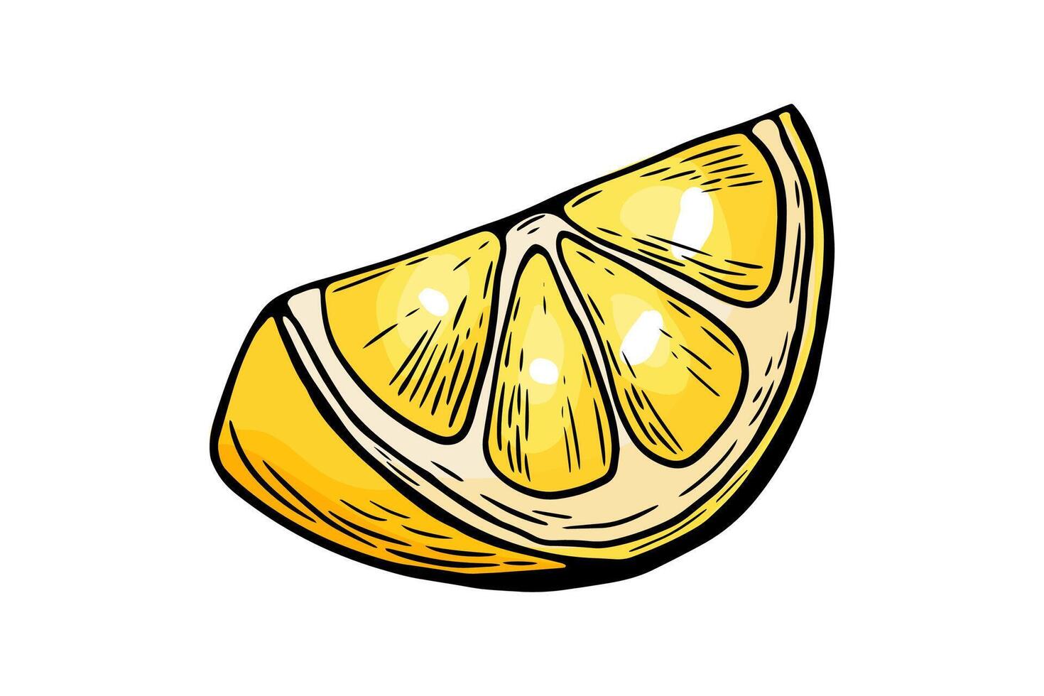 Sketch lemon, slice, engraving and black and white line. Fruit isolated on white background color vector