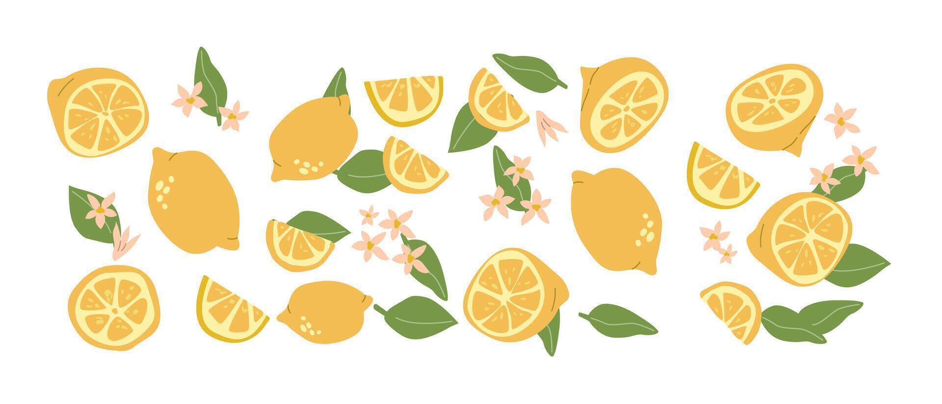 Hand drawn abstract fruit plant set. Whole fruit, slices, pieces and leaves, flowers vector