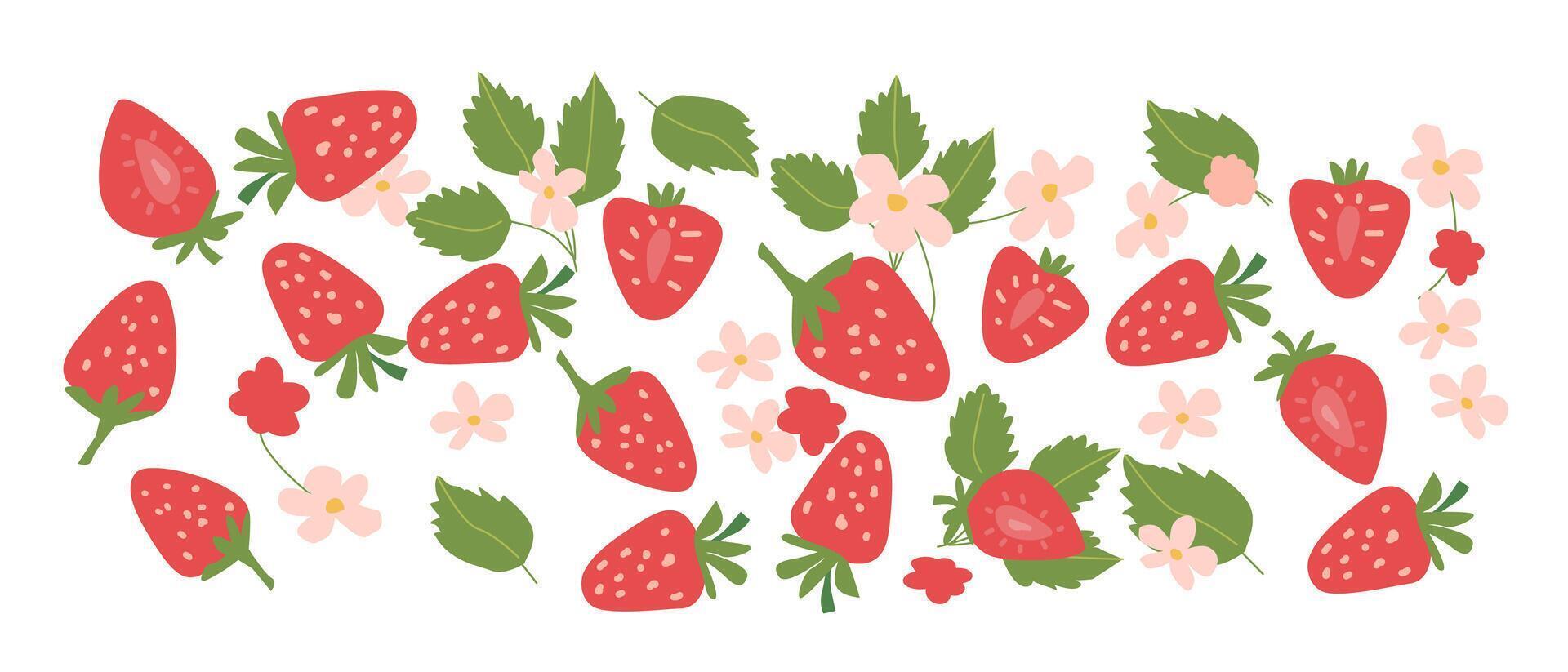 Hand drawn abstract strawberry plant set. Whole fruit, slices, pieces and leaves, flowers vector