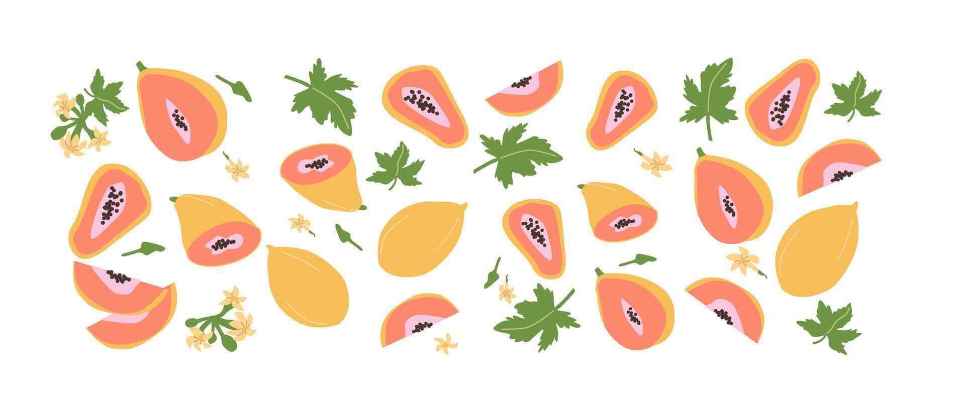 Hand drawn abstract fruit papaya plant set. Whole fruit, slices, pieces and leaves, flowers vector