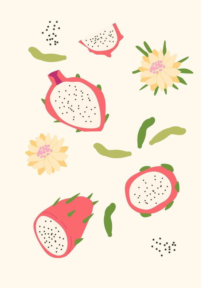 Flat design dragon fruit in modern style. A fresh take on tropical decor. vector