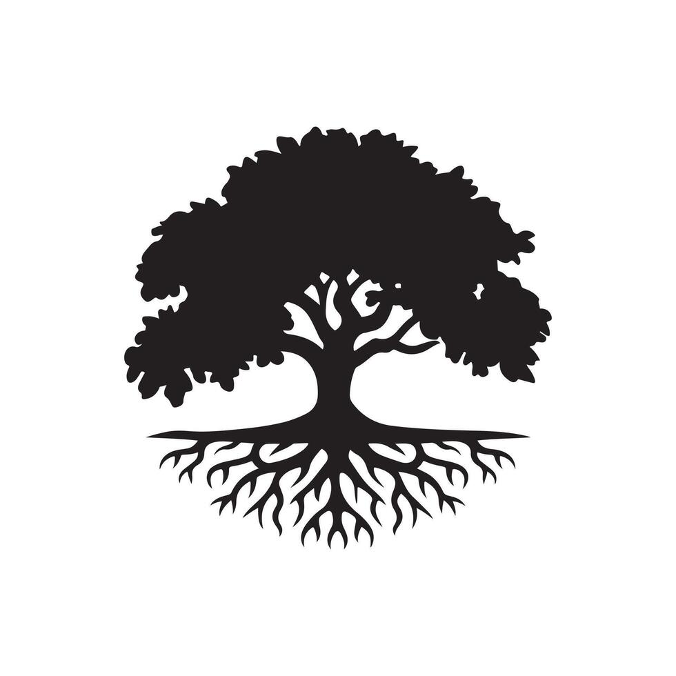 An oak tree with roots and leaves on a white background vector