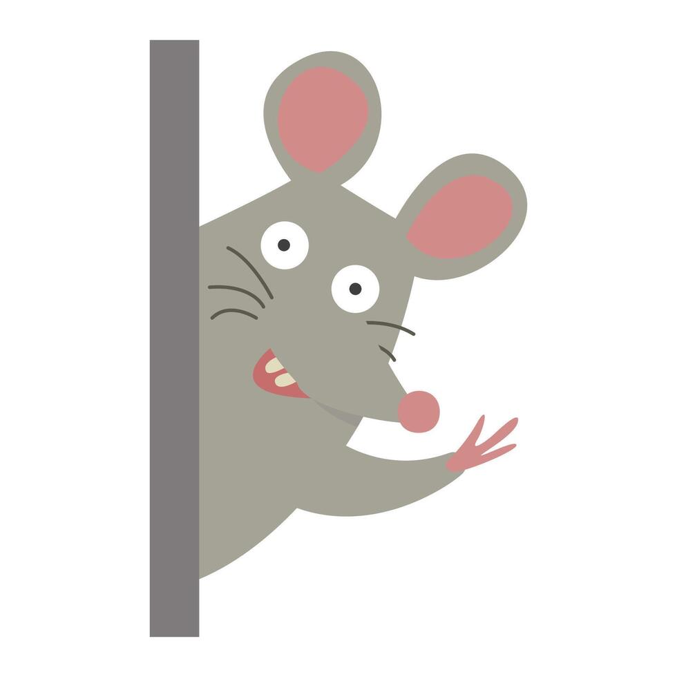 leptospirosis infection disease from leptospira bacteria in rat urine vector