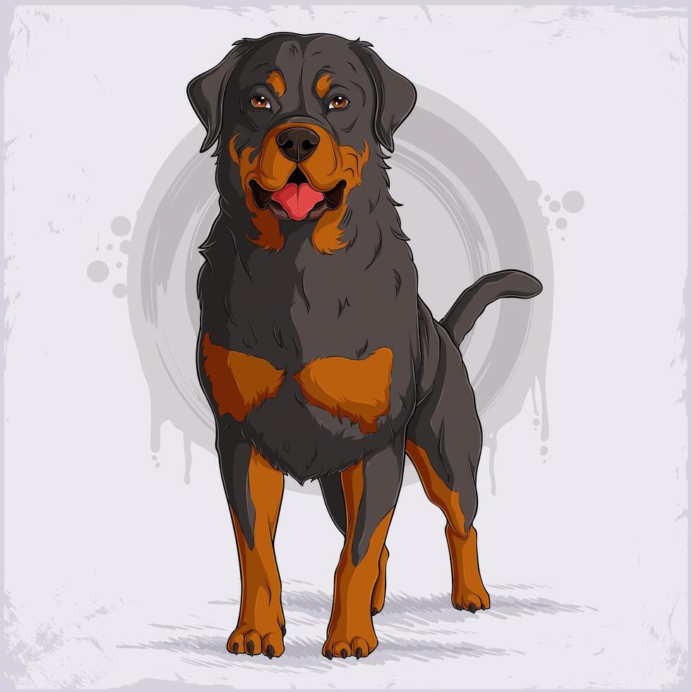 Hand drawn German dog breed Rottweiler Metzgerhund in full length standing and panting isolated vector